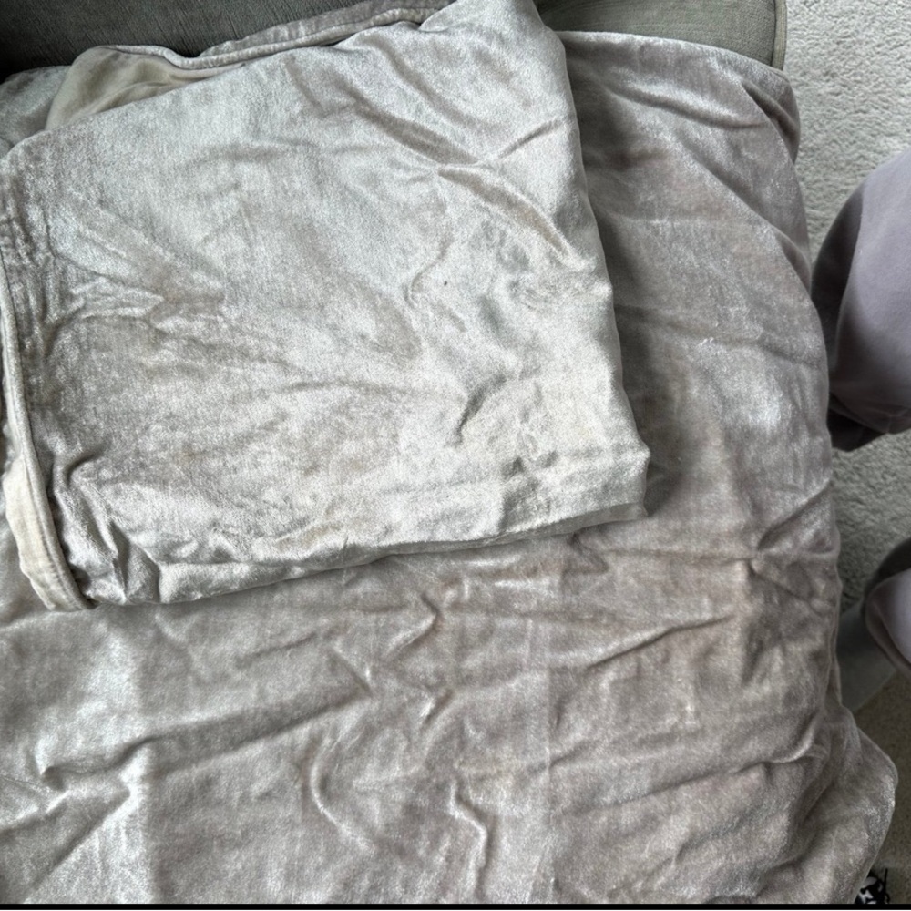 RH TEEN Velvet Euro Shams (gray, set of 2)